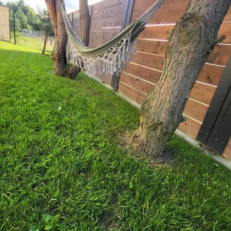 Sosnowa Przystan Z Jacuzzi W Rozewiu - *