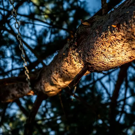 Apartmán Sosnowa Przystan Z Jacuzzi W Rozewiu -