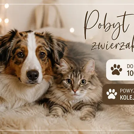 Sosnowa Przystan - Domki Z Jacuzzi W Rozewiu Lägenhet *