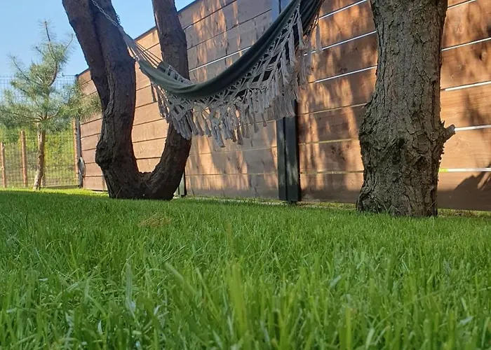 Sosnowa Przystan W Rozewiu - *