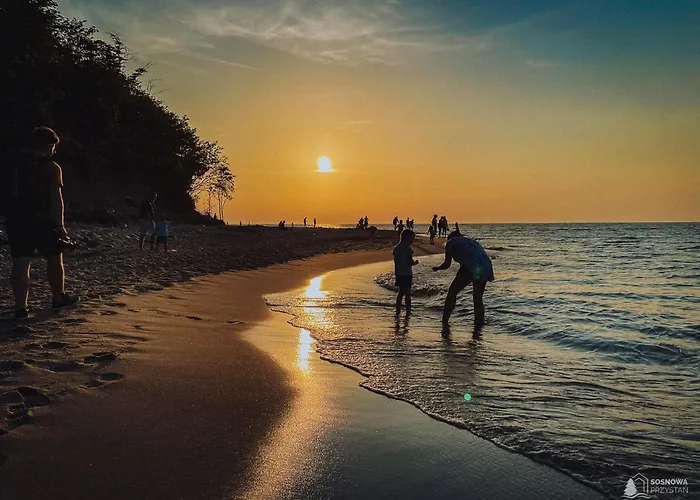 Sosnowa Przystan Z Jacuzzi W Rozewiu - شقة Jastrzębia Góra