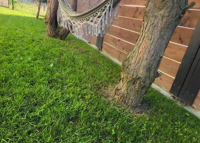 Sosnowa Przystan W Rozewiu - *