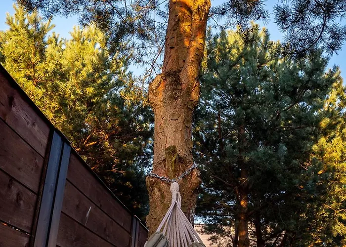 Sosnowa Przystan W Rozewiu - * Jastrzębia Góra