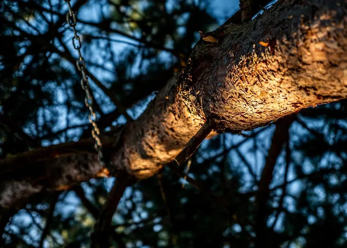 شقة Sosnowa Przystan Z Jacuzzi W Rozewiu -