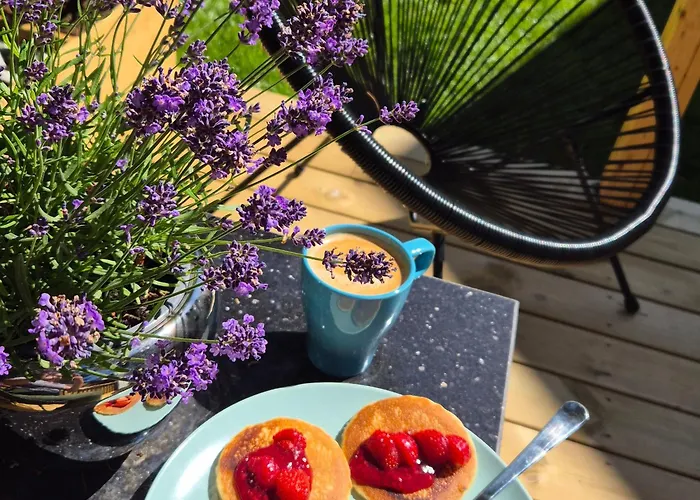 Sosnowa Przystan W Rozewiu - Lejlighed Jastrzębia Góra
